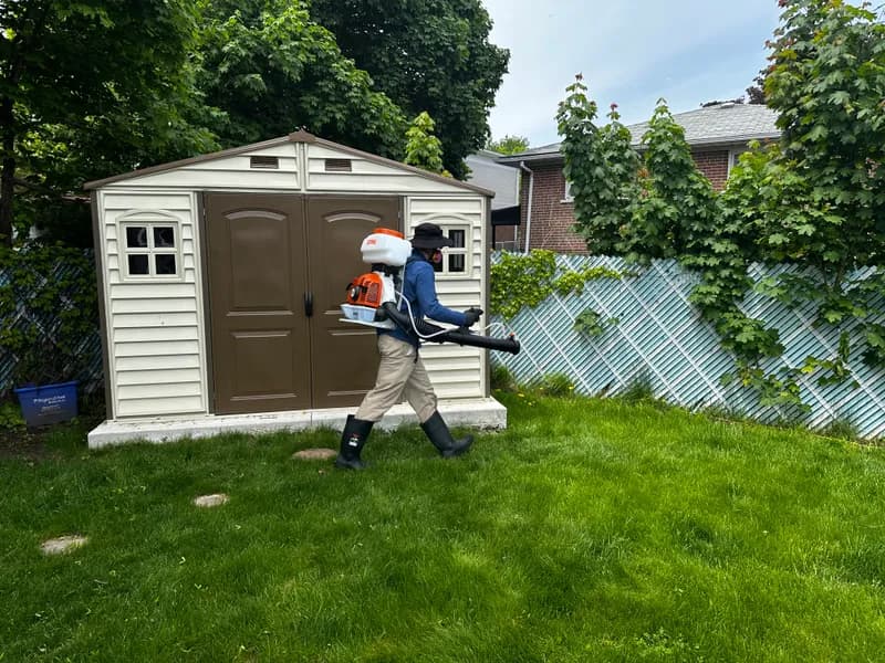 BuzzSkito technician applying mosquito barrier spray to backyard vegetation in the GTA