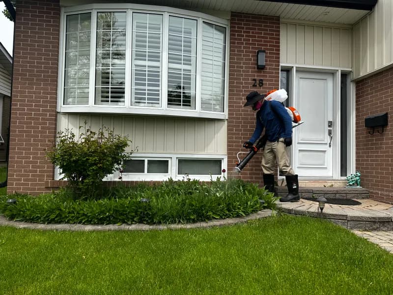BuzzSkito technician treating lawn edges and garden borders for ticks at a GTA home