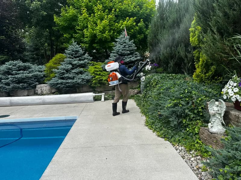 Protected landscaped GTA backyard with a pool, ready to enjoy after treatment