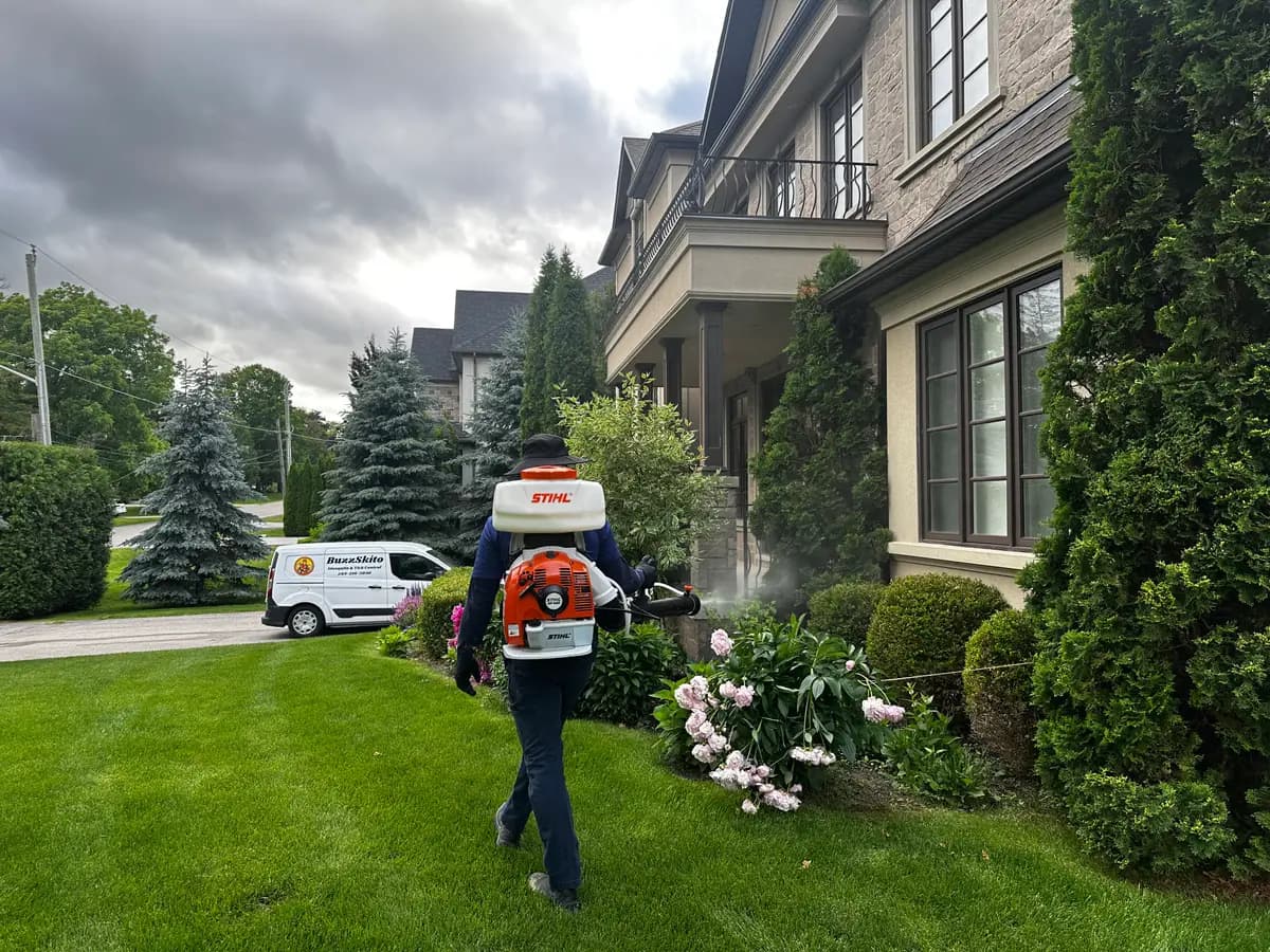 BuzzSkito technician misting peony beds and foundation plantings at a GTA front entrance, branded BuzzSkito service van parked in the driveway